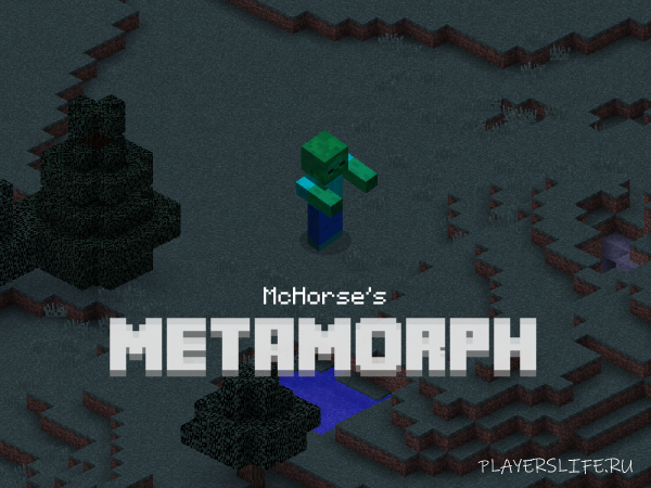 Metamorph minecraft